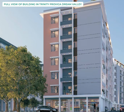 Trinity Provica Dream Valley